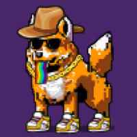 DogePunks #1559
