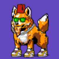 DogePunks #2122