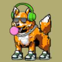 DogePunks #736