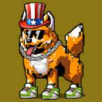 DogePunks #4635