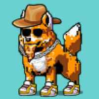 DogePunks #4511