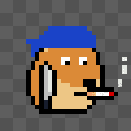 Dogepunk #1843