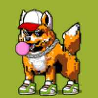 DogePunks #1975