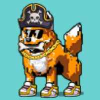 DogePunks #2078