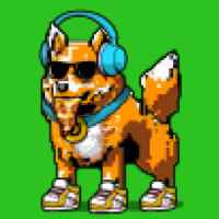 DogePunks #4772
