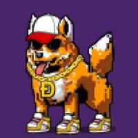 DogePunks #2342