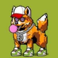 DogePunks #1211
