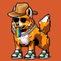 DogePunks #1342