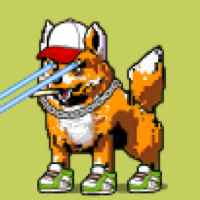DogePunks #4674