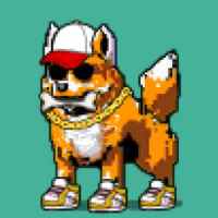 DogePunks #4310