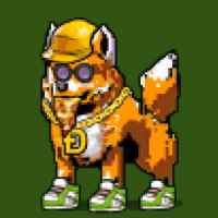 DogePunks #1494