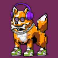DogePunks #1008