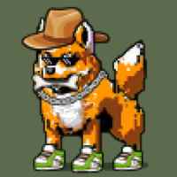 DogePunks #4873