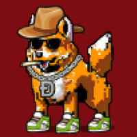 DogePunks #479