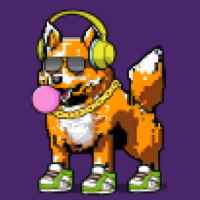 DogePunks #1787
