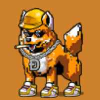 DogePunks #4045