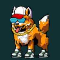 DogePunks #42