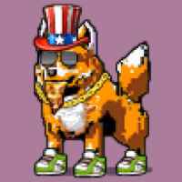 DogePunks #1219