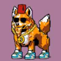 DogePunks #4328