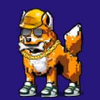 DogePunks #2054
