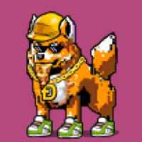 DogePunks #4309