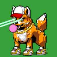 DogePunks #1807