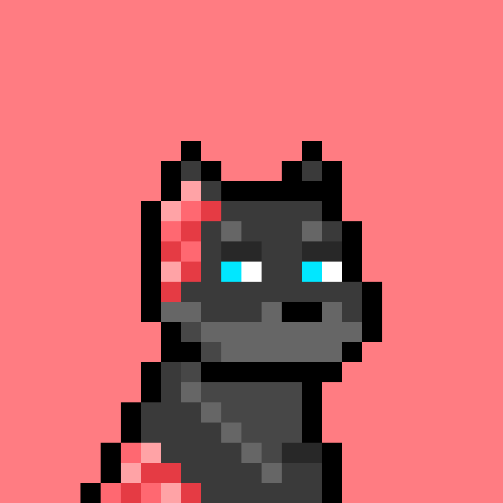 Doginal Dog #8972