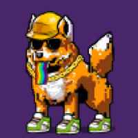 DogePunks #2508