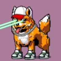 DogePunks #4906