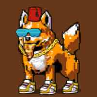 DogePunks #873