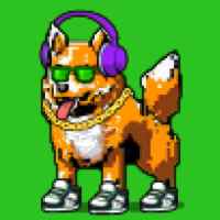 DogePunks #626