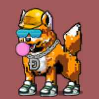 DogePunks #5