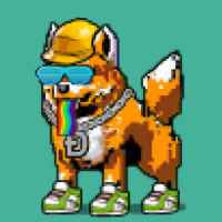 DogePunks #697