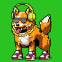DogePunks #3734