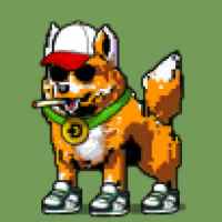 DogePunks #4566