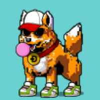 DogePunks #2735