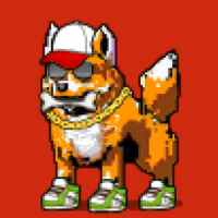 DogePunks #1311