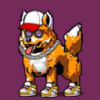 DogePunks #3398