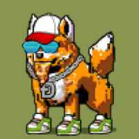 DogePunks #1032