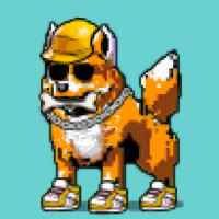 DogePunks #947