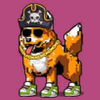 DogePunks #3241