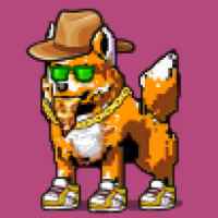 DogePunks #4986