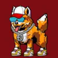 DogePunks #1996