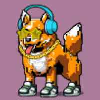 DogePunks #927