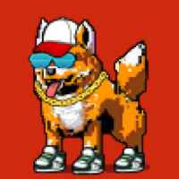 DogePunks #1498