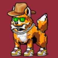 DogePunks #922