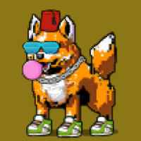 DogePunks #2789