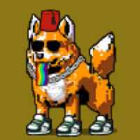 DogePunks #672