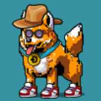 DogePunks #2037