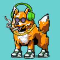 DogePunks #1670